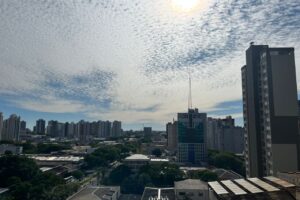 WhatsApp Image 2025-11-11 at 08.07.05