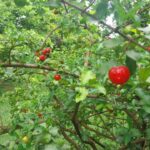 WhatsApp Image 2025-11-11 at 10.17.19