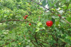 WhatsApp Image 2025-11-11 at 10.17.19