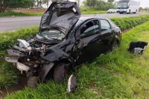 WhatsApp Image 2025-11-12 at 18.43.11