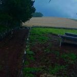 WhatsApp Image 2025-11-13 at 10.53.54