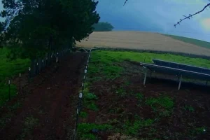 WhatsApp Image 2025-11-13 at 10.53.54