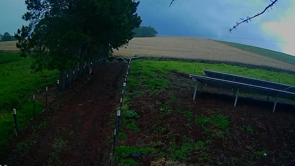 WhatsApp Image 2025-11-13 at 10.53.54