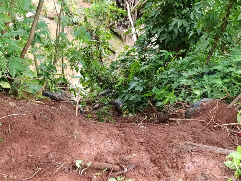 WhatsApp Image 2025-11-13 at 15.00.45