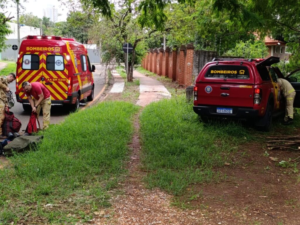 WhatsApp Image 2025-11-13 at 15.00.46