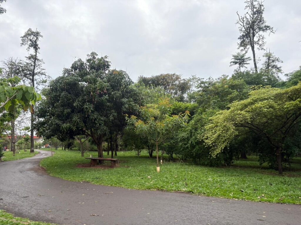 WhatsApp Image 2025-11-14 at 19.17.50