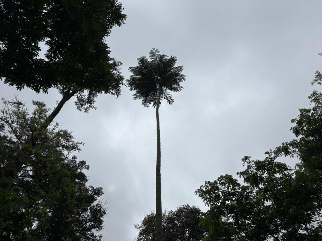 WhatsApp Image 2025-11-14 at 19.17.56