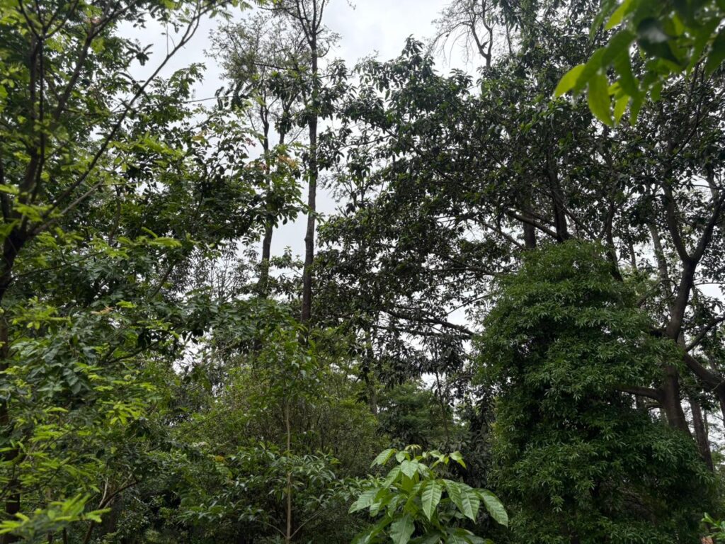 WhatsApp Image 2025-11-14 at 19.18.01