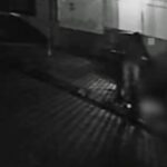 WhatsApp Image 2025-11-17 at 16.41.57