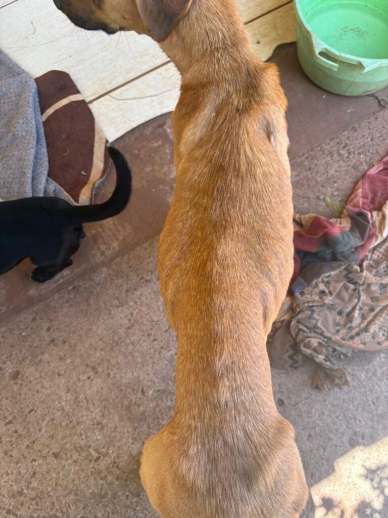 WhatsApp Image 2025-11-26 at 14.28.18