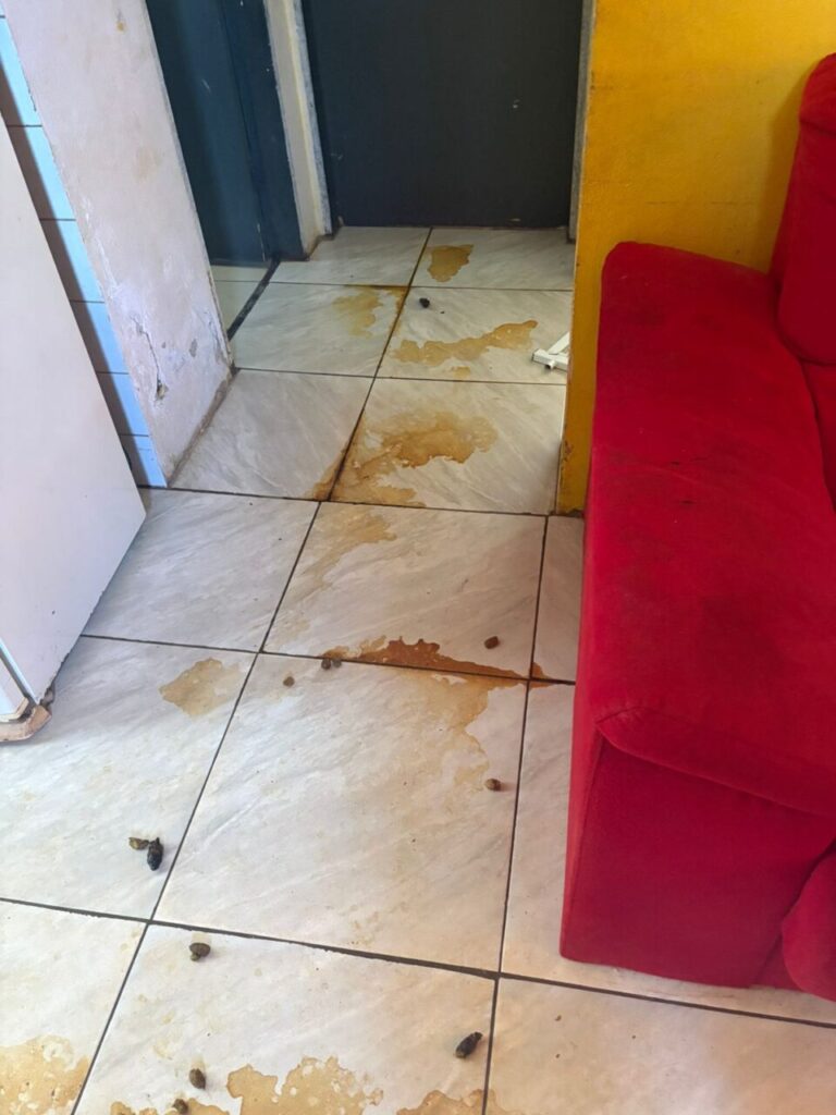 WhatsApp Image 2025-11-26 at 14.28.19 (1)