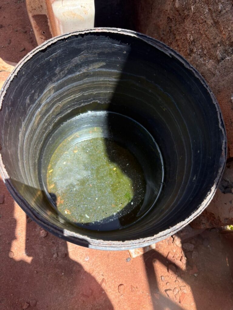 WhatsApp Image 2025-11-26 at 14.28.19