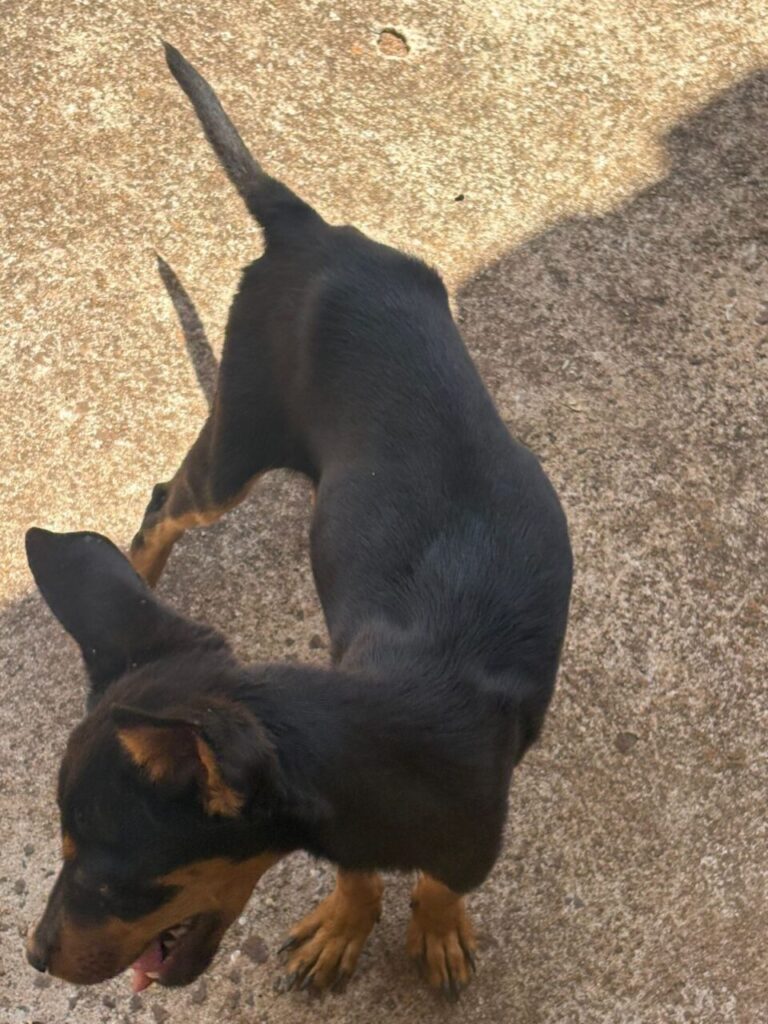 WhatsApp Image 2025-11-26 at 14.28.21