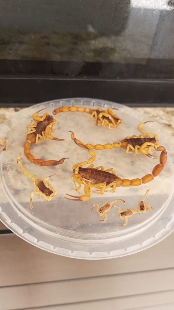 WhatsApp Image 2025-11-27 at 16.30.18