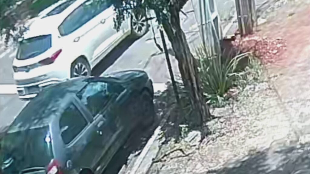 WhatsApp Image 2025-11-27 at 17.46.09