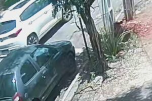 WhatsApp Image 2025-11-27 at 17.46.09