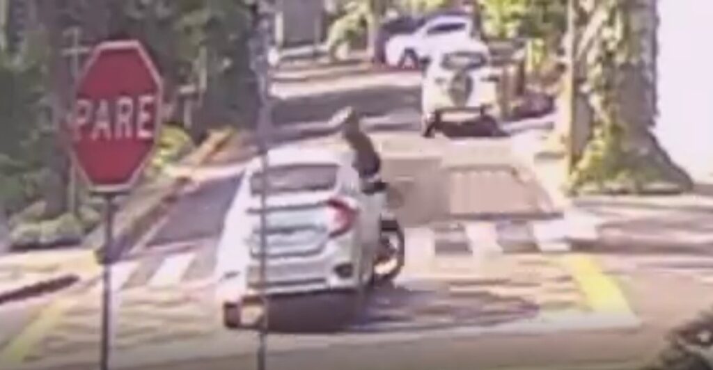 WhatsApp Image 2025-11-28 at 11.05.45