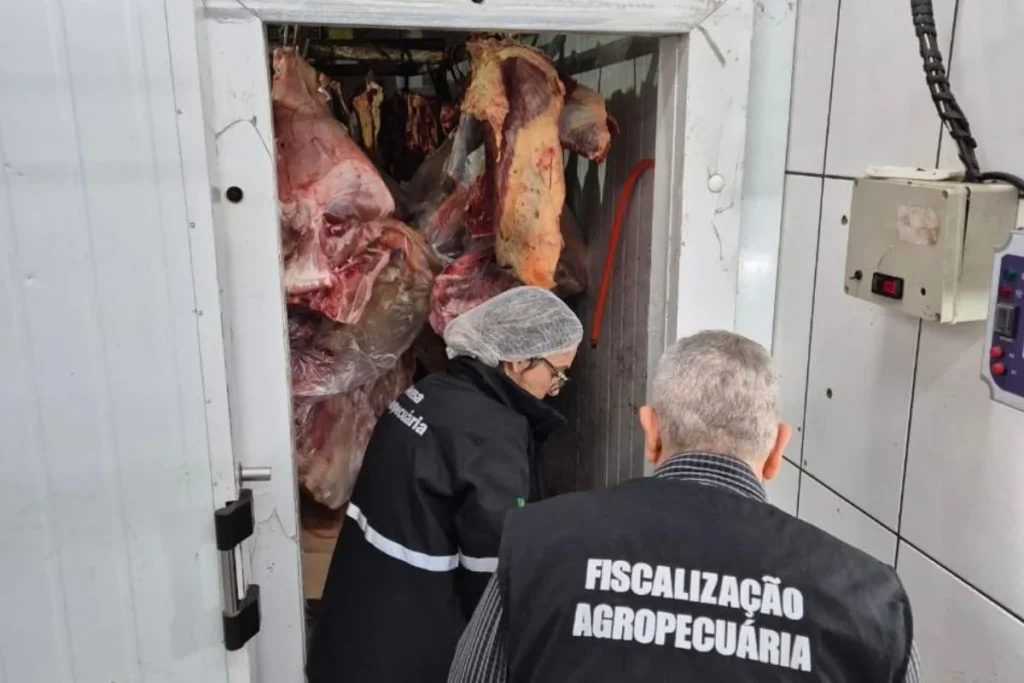 agentes-fiscalizando-o-local-