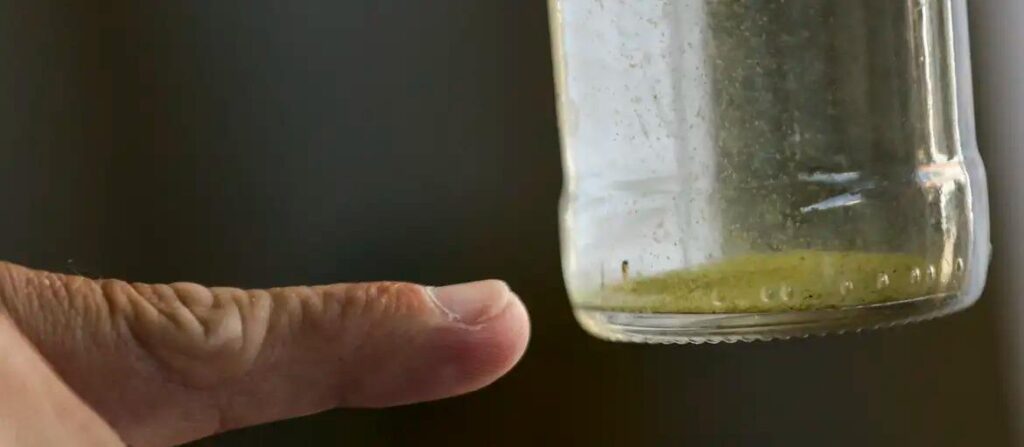 bc30f30d0684e92fe68316bd92084d5b