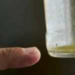 bc30f30d0684e92fe68316bd92084d5b