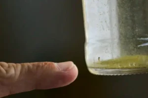 bc30f30d0684e92fe68316bd92084d5b