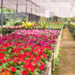 e9e9c142-80f4-414b-83af-feb171f917af