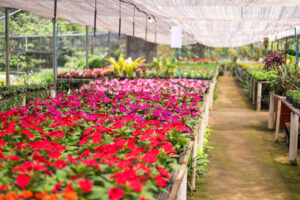 e9e9c142-80f4-414b-83af-feb171f917af