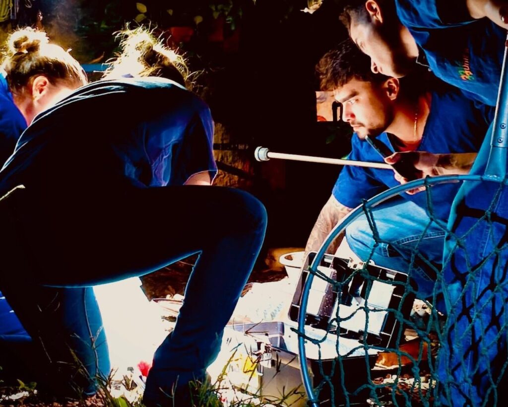 prefeituradepaicandu_1763785606_3771229457487861070_5505862683