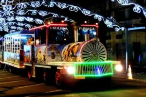 20606_trenzinho-011119