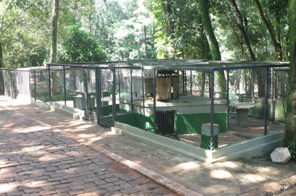 3c83f5775792e4833e96490e5187ee12-1