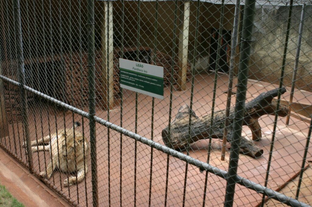 523638cb335b20f7e5c5e3b03a06b738