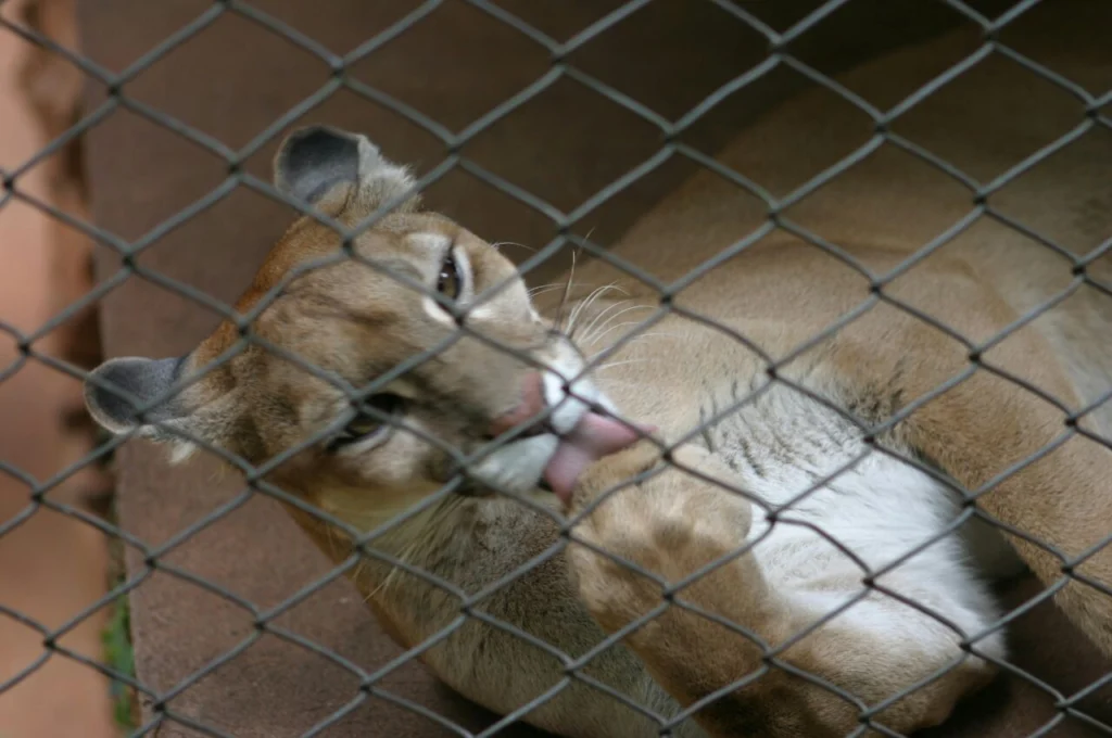 709a1ef1b1b40248ba0c1bbc793d17fe-1