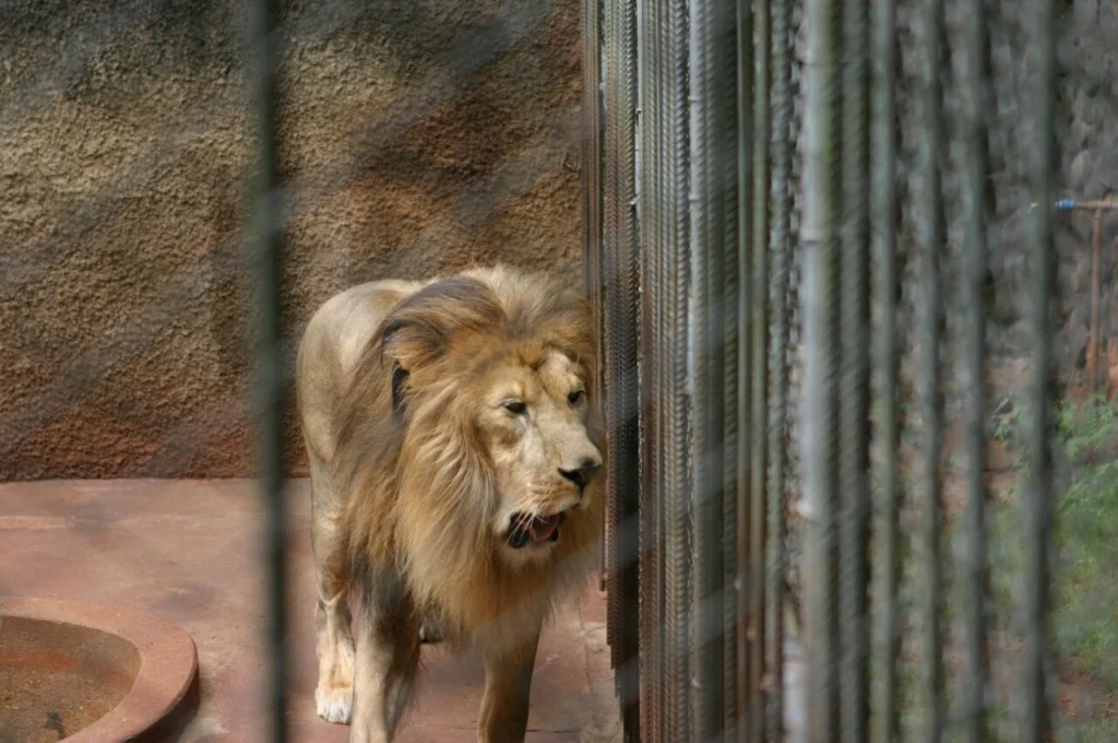 7b5caa472ca8fb1eda8d81564f0b7c5c