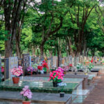 9a4f2a4d-206b-45ab-84db-f7aee077bf2b