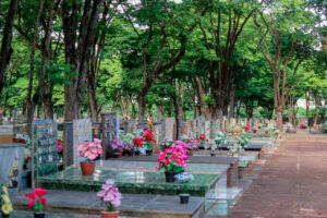 9a4f2a4d-206b-45ab-84db-f7aee077bf2b