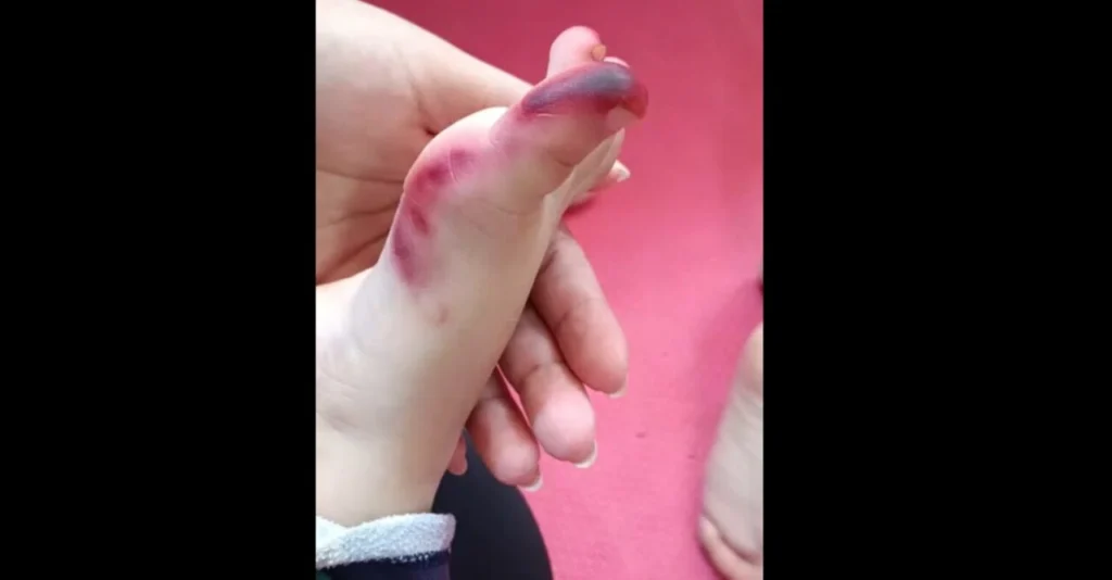 Captura de tela 2025-12-16 094319