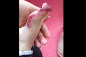 Captura de tela 2025-12-16 094319