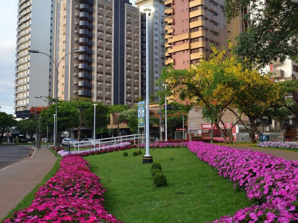 Design sem nome (14)