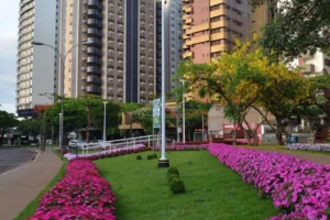 Design sem nome (14)