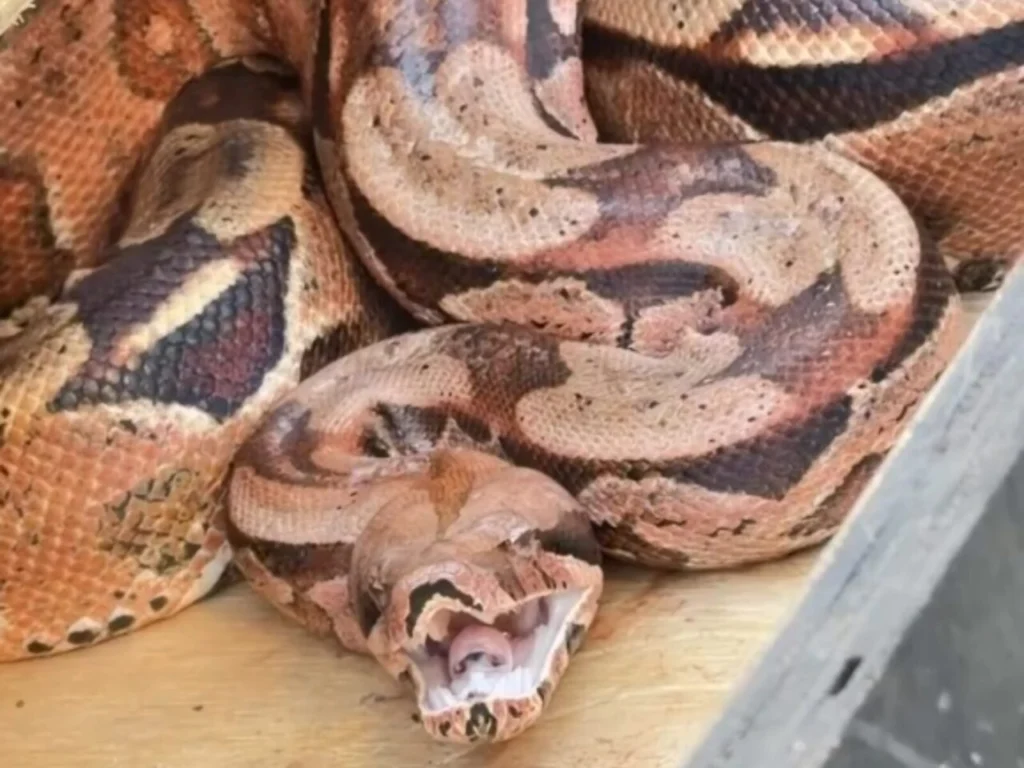 Design sem nome (16)