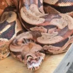 Design sem nome (16)