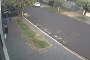 Design sem nome (61)