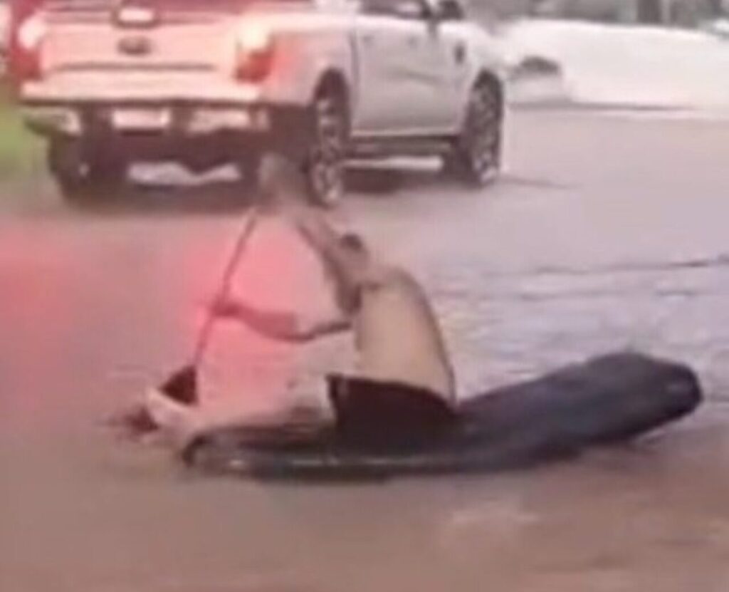 Design sem nome (63)