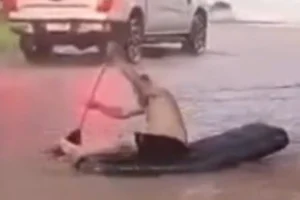 Design sem nome (63)