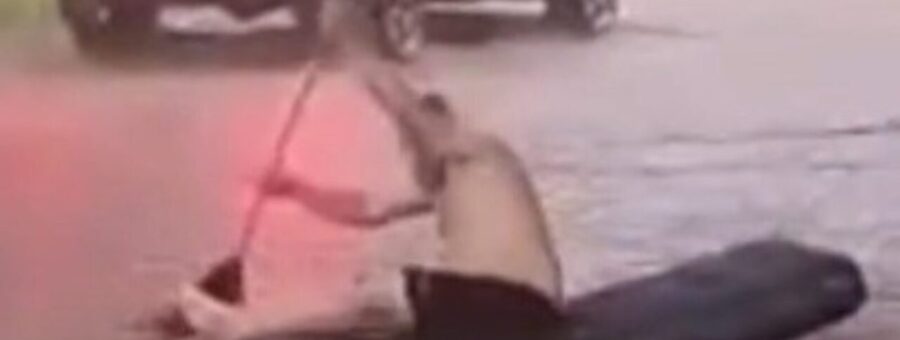 Design sem nome (63)