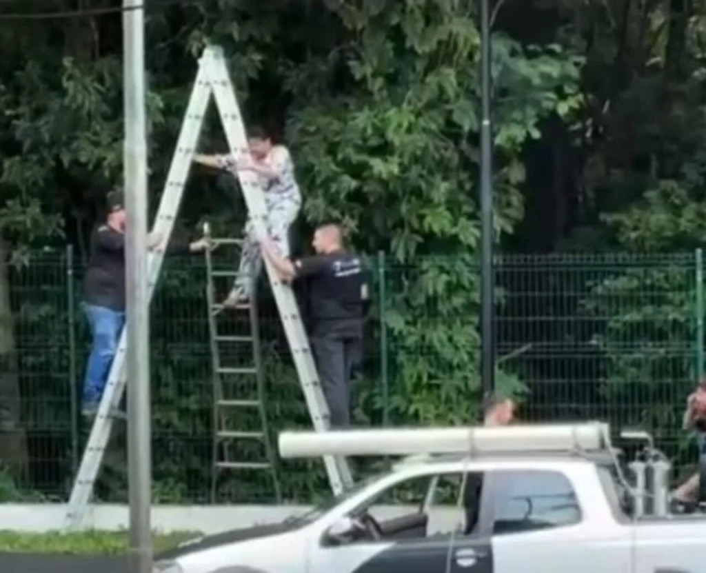 Design sem nome (66)