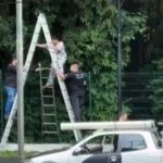 Design sem nome (66)