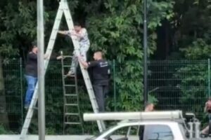 Design sem nome (66)