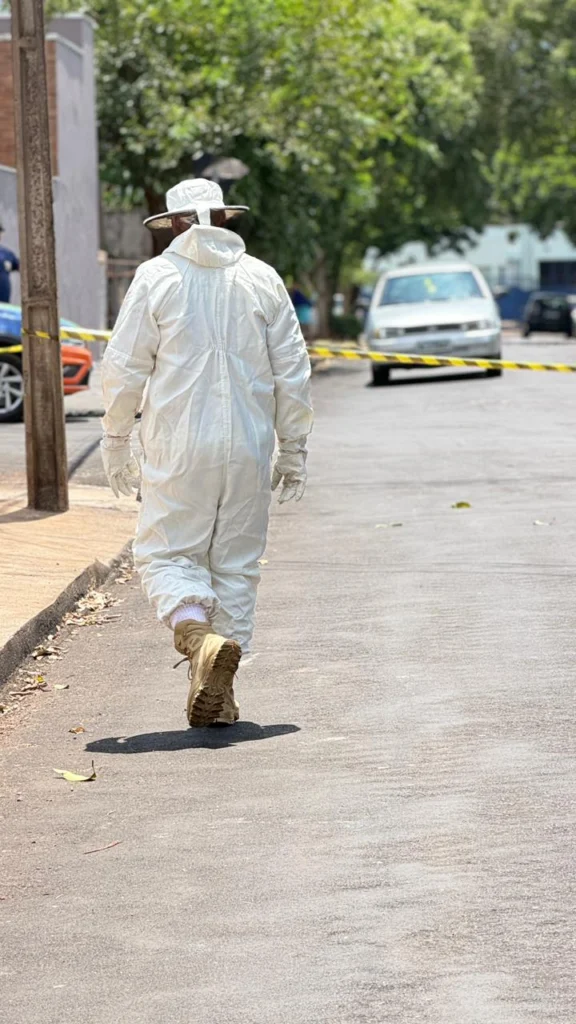 Imagem do WhatsApp de 2025-12-29 à(s) 13.44.30_20226d6c