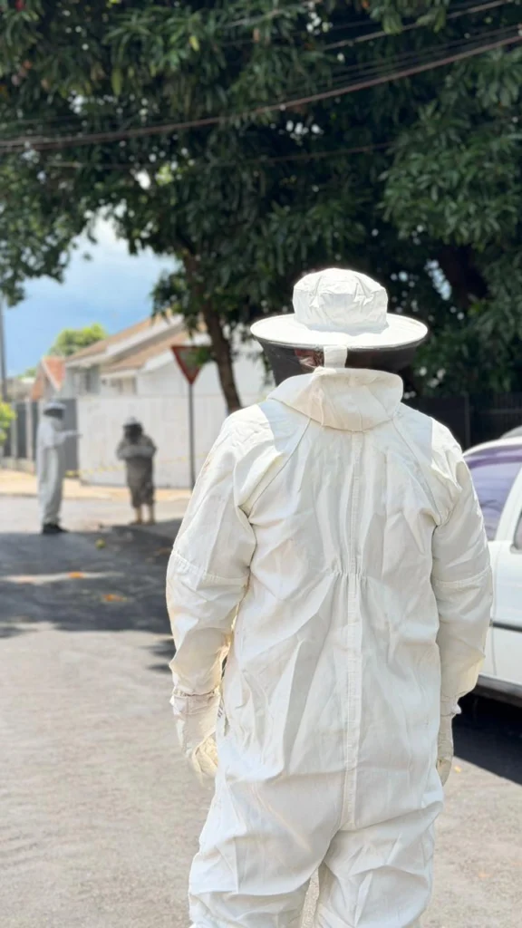 Imagem do WhatsApp de 2025-12-29 à(s) 13.44.30_3cce7f42